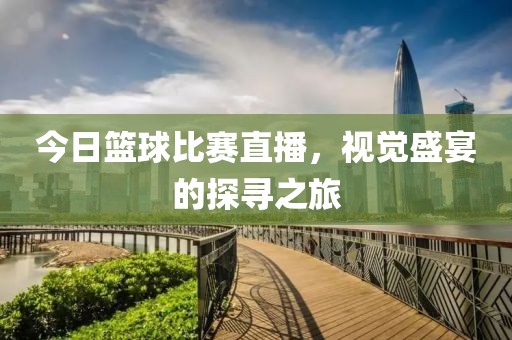 今日篮球比赛直播，视觉盛宴的探寻之旅