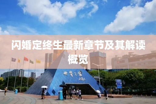闪婚定终生最新章节及其解读概览