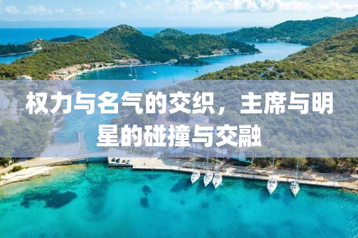 权力与名气的交织，主席与明星的碰撞与交融
