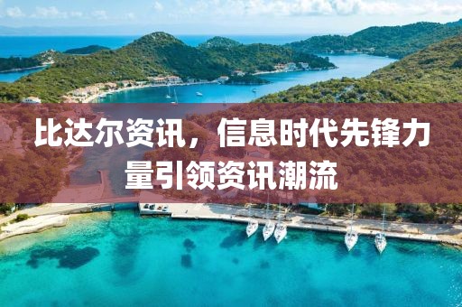 比达尔资讯，信息时代先锋力量引领资讯潮流