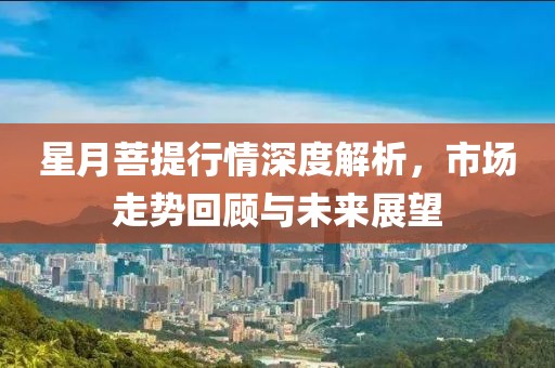 星月菩提行情深度解析，市场走势回顾与未来展望