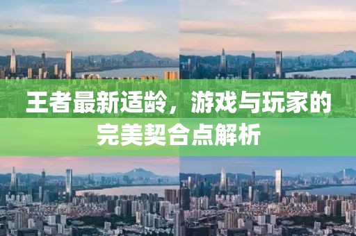 王者最新适龄，游戏与玩家的完美契合点解析