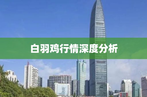 白羽鸡行情深度分析