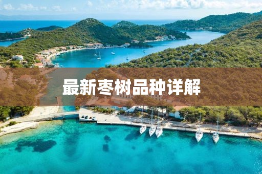 最新枣树品种详解