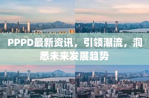 PPPD最新资讯，引领潮流，洞悉未来发展趋势