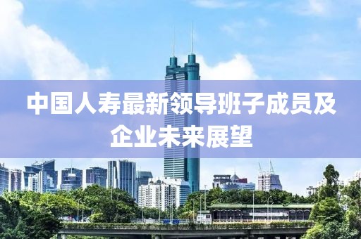 中国人寿最新领导班子成员及企业未来展望