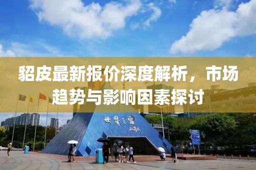 貂皮最新报价深度解析，市场趋势与影响因素探讨