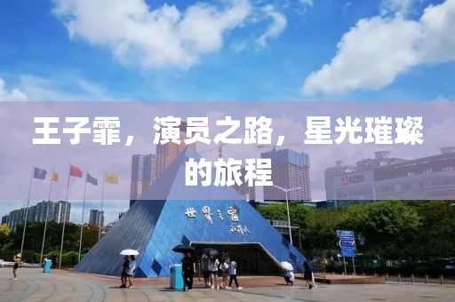 王子霏，演员之路，星光璀璨的旅程