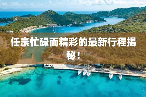 任豪忙碌而精彩的最新行程揭秘！