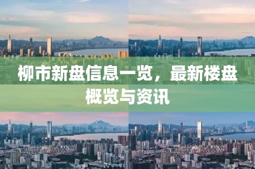 柳市新盘信息一览，最新楼盘概览与资讯