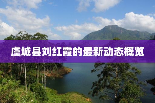 虞城县刘红霞的最新动态概览