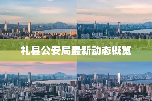 礼县公安局最新动态概览