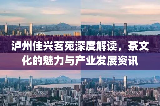 泸州佳兴茗苑深度解读，茶文化的魅力与产业发展资讯