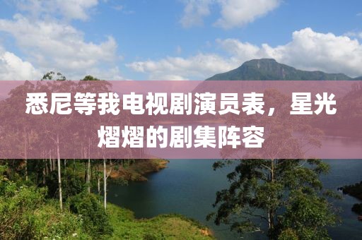 悉尼等我电视剧演员表，星光熠熠的剧集阵容