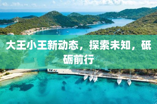 大王小王新动态，探索未知，砥砺前行