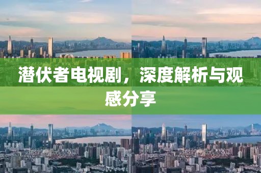潜伏者电视剧，深度解析与观感分享
