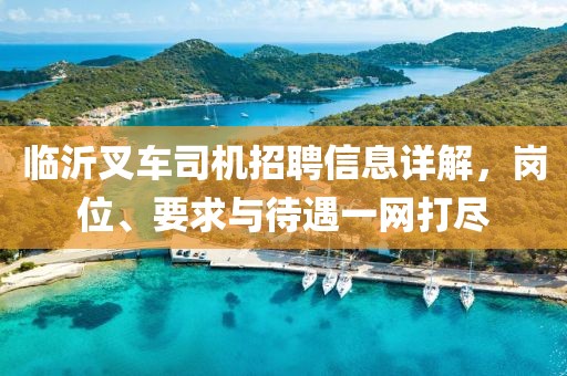 临沂叉车司机招聘信息详解，岗位、要求与待遇一网打尽