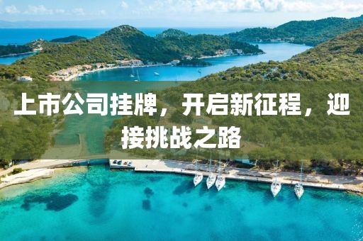 上市公司挂牌，开启新征程，迎接挑战之路