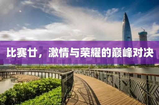 比赛廿，激情与荣耀的巅峰对决