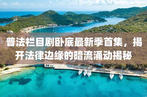 普法栏目剧卧底最新季首集，揭开法律边缘的暗流涌动揭秘