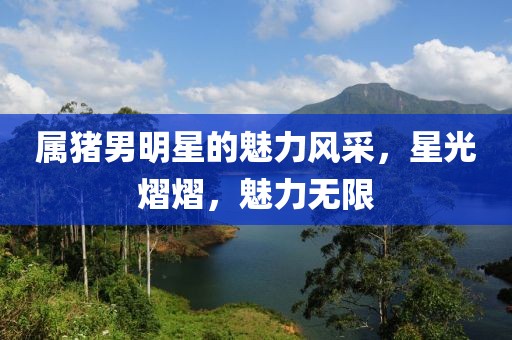 属猪男明星的魅力风采，星光熠熠，魅力无限