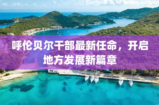 呼伦贝尔干部最新任命，开启地方发展新篇章