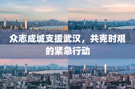 众志成城支援武汉，共克时艰的紧急行动