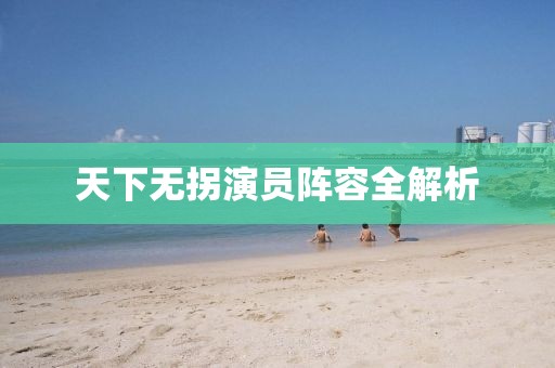 天下无拐演员阵容全解析