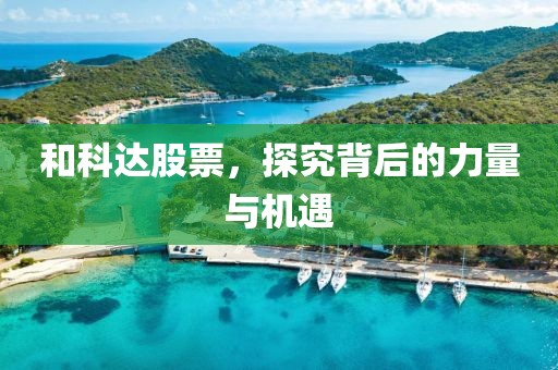 和科达股票，探究背后的力量与机遇