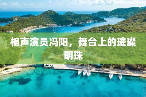 相声演员冯阳，舞台上的璀璨明珠