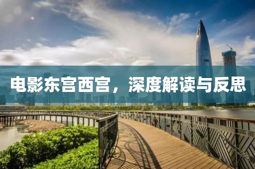 电影东宫西宫，深度解读与反思