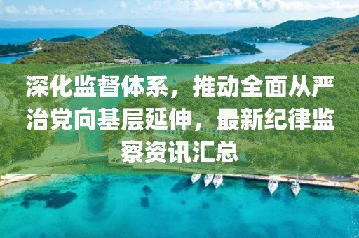 深化监督体系，推动全面从严治党向基层延伸，最新纪律监察资讯汇总