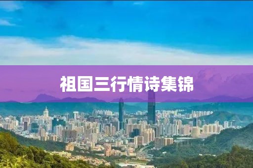 2025年2月 第8页