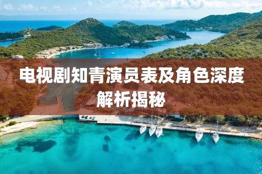 电视剧知青演员表及角色深度解析揭秘