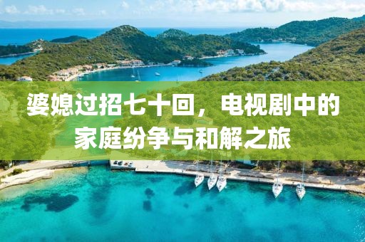 婆媳过招七十回，电视剧中的家庭纷争与和解之旅