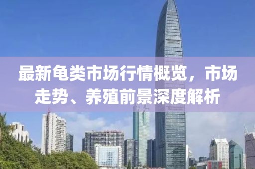 最新龟类市场行情概览，市场走势、养殖前景深度解析