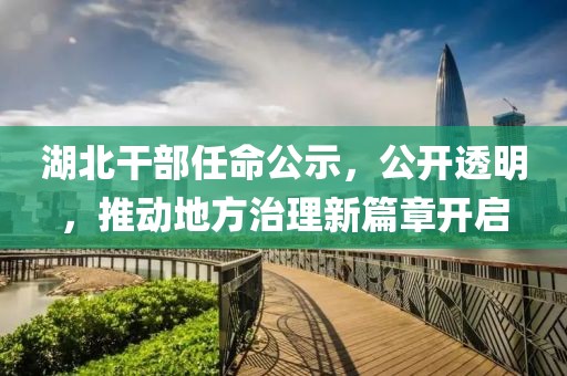 湖北干部任命公示，公开透明，推动地方治理新篇章开启