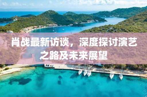 肖战最新访谈，深度探讨演艺之路及未来展望