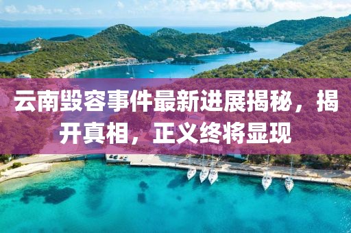 云南毁容事件最新进展揭秘，揭开真相，正义终将显现