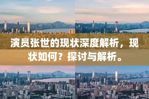 演员张世的现状深度解析，现状如何？探讨与解析。