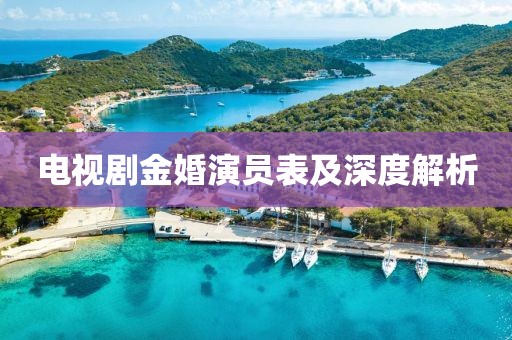 电视剧金婚演员表及深度解析