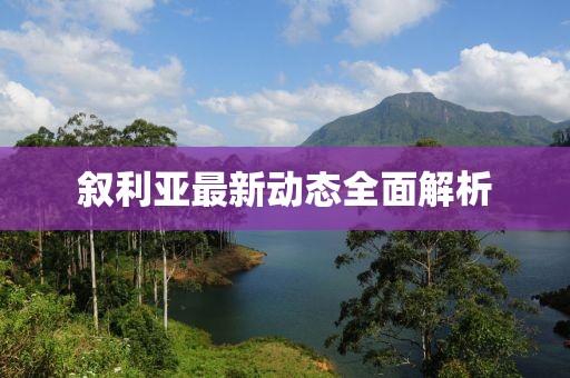 叙利亚最新动态全面解析