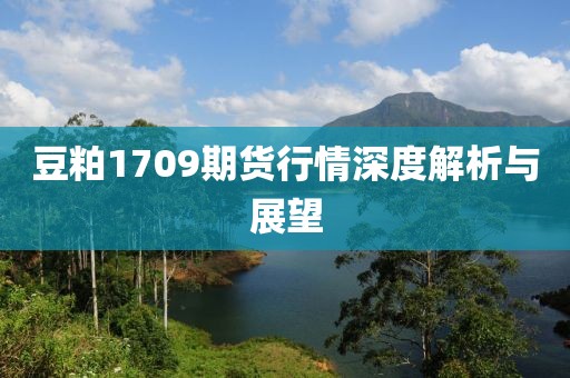 豆粕1709期货行情深度解析与展望
