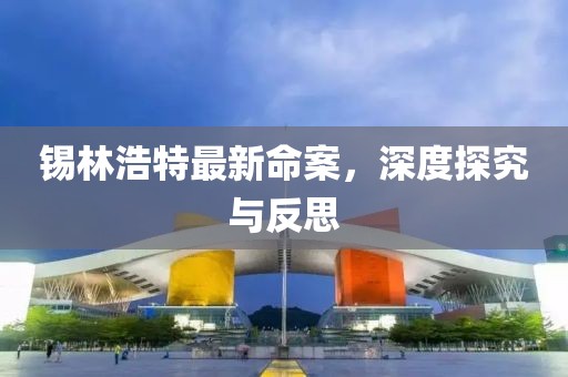 锡林浩特最新命案，深度探究与反思