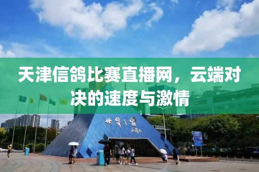 天津信鸽比赛直播网，云端对决的速度与激情
