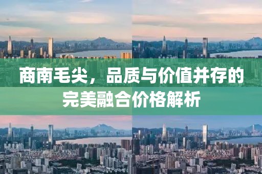 商南毛尖，品质与价值并存的完美融合价格解析