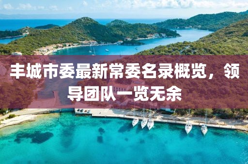 丰城市委最新常委名录概览，领导团队一览无余