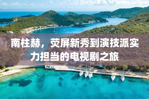 南柱赫，荧屏新秀到演技派实力担当的电视剧之旅