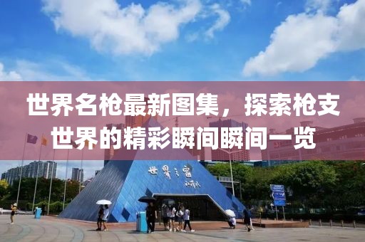 世界名枪最新图集，探索枪支世界的精彩瞬间瞬间一览
