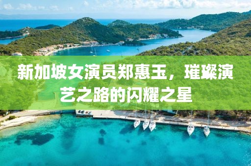 新加坡女演员郑惠玉，璀璨演艺之路的闪耀之星